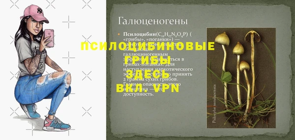метадон Арсеньев